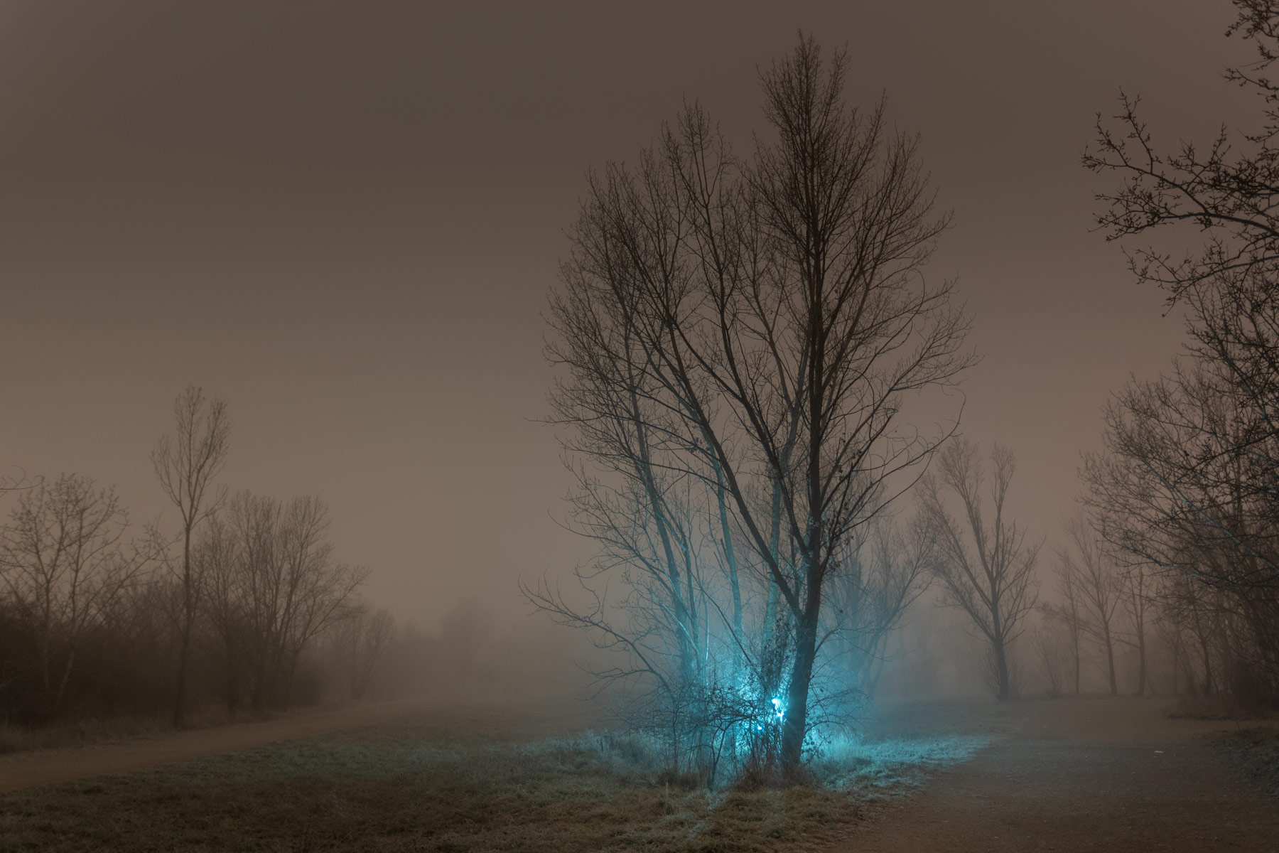 Foggy night in Vienna fine art photography